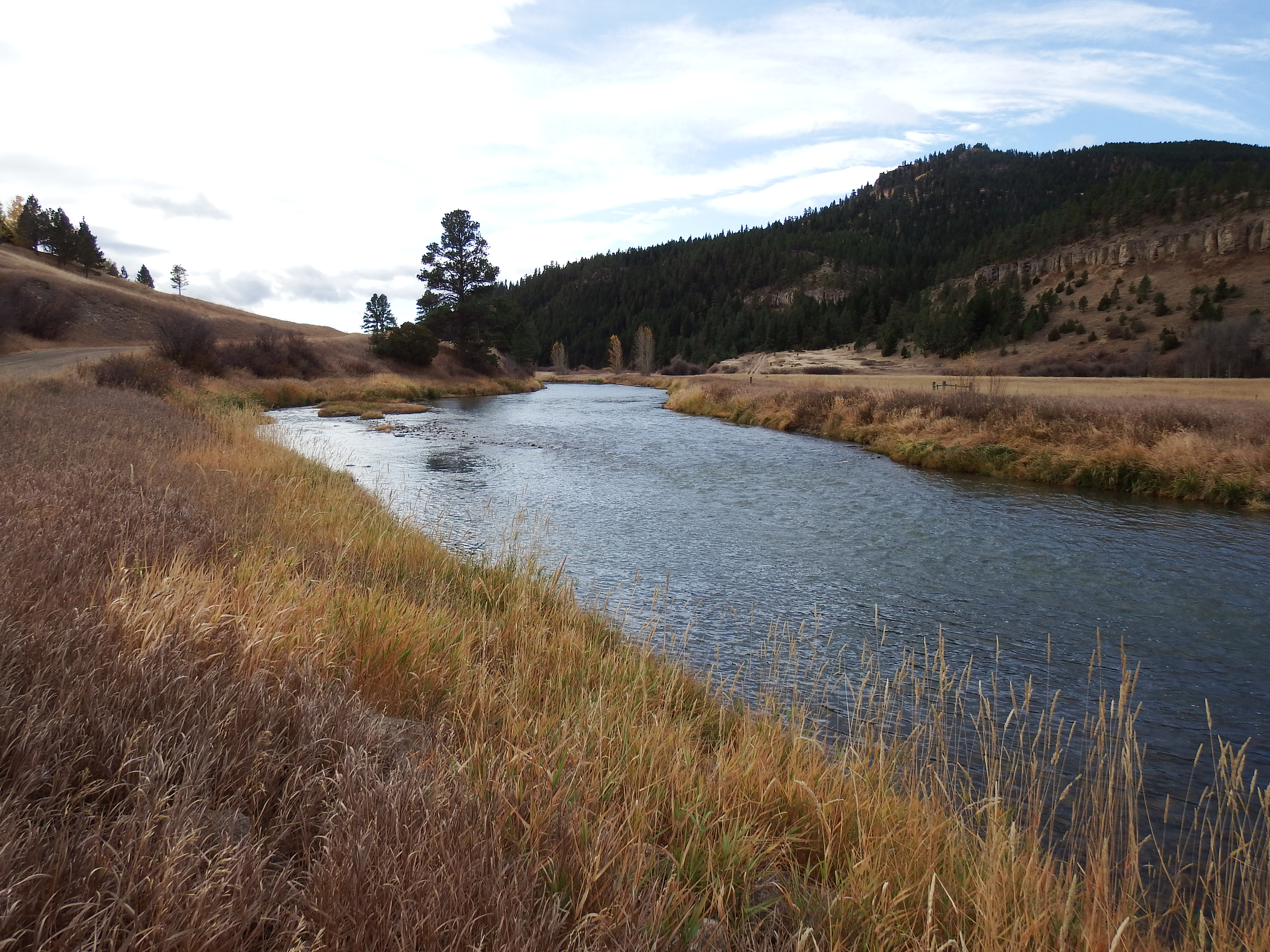 A photo of the Smith River in the fall. There is dry grass on the riverbank.